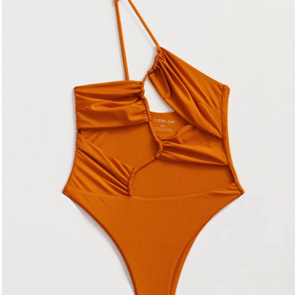Riot Swimsuit burnt orange one piece